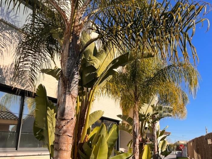 Apartamento 5 en Teià